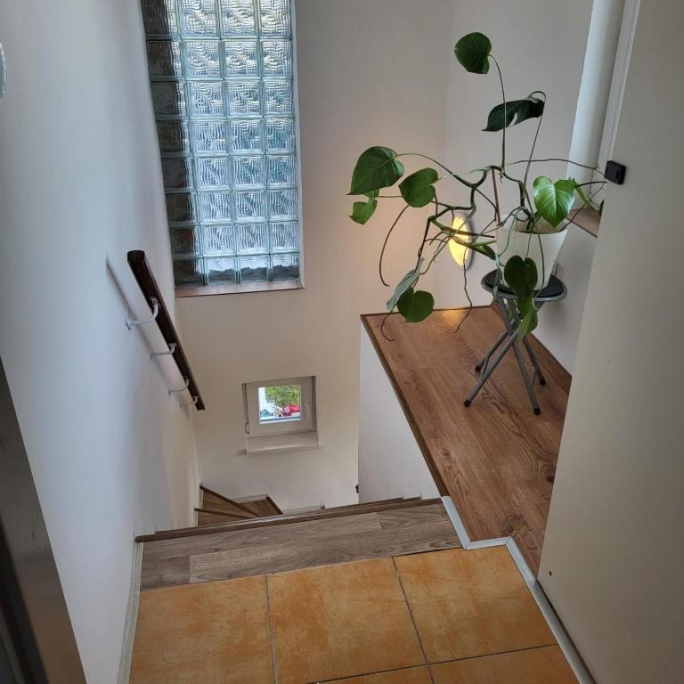 Apartman ,,Rokytka" Praag Buitenkant foto